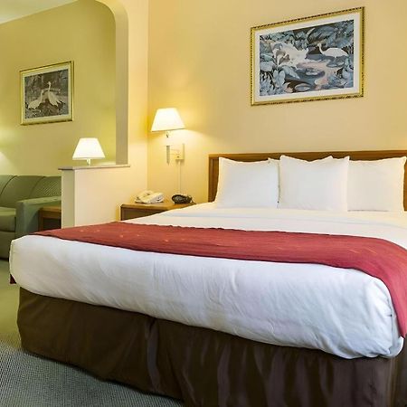 Comfort Suites La Porte Esterno foto