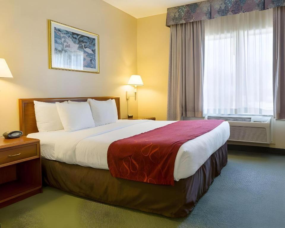 Comfort Suites La Porte Esterno foto